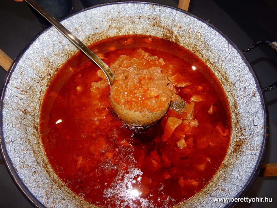 FIDESZ kampánnyitó 15